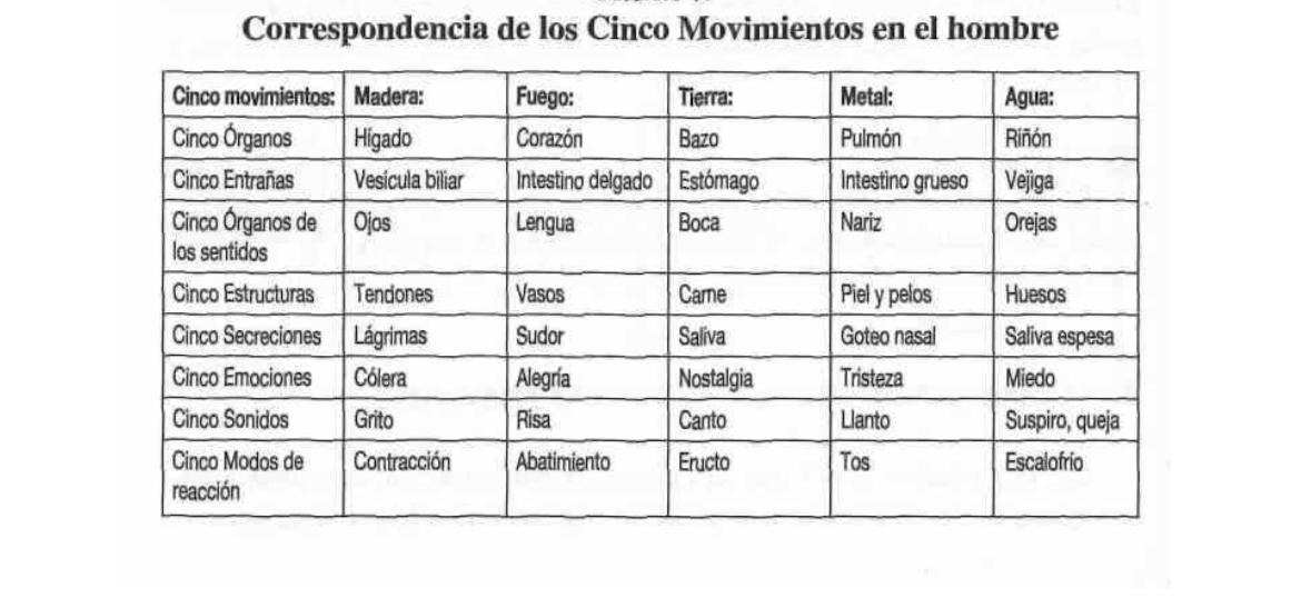 Los cinco elementos en el hombre
